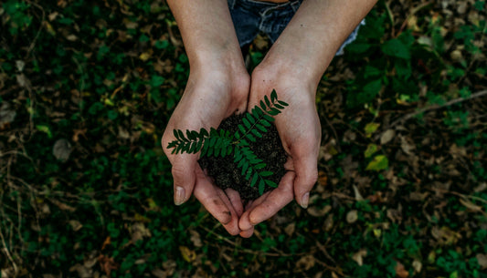 Our Top 5 Tips for Living a More Eco-Friendly Lifestyle 💡