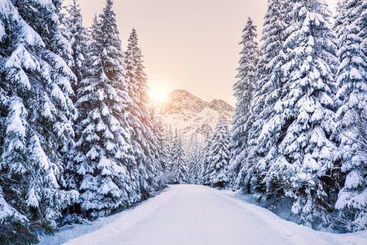 How to prepare for the Winter season with Eco-friendly candles