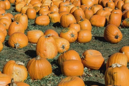 How to Create the Perfect Fall Atmosphere with Eco-Friendly Candles 🍁🕯️