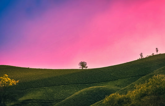 How to Live a Stress-Free Life: Practical Tips for Everyday Calm 🧘‍♀️